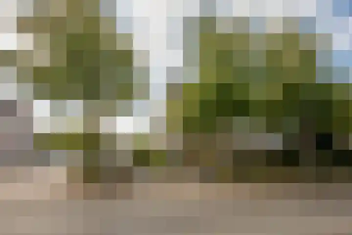 Batavierlaan 10 Nieuwerkerk aan den IJssel thumbnail 57