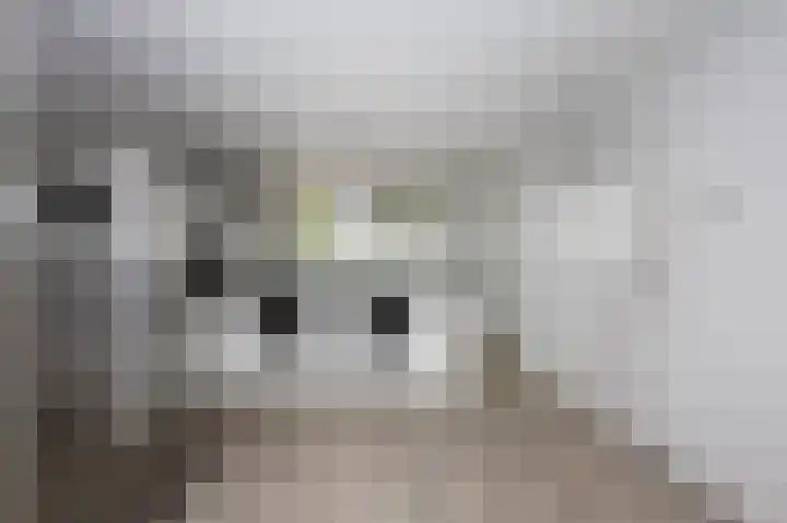Batavierlaan 10 Nieuwerkerk aan den IJssel thumbnail 6