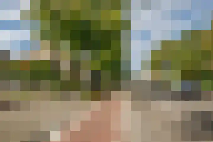 Batavierlaan 10 Nieuwerkerk aan den IJssel thumbnail 62