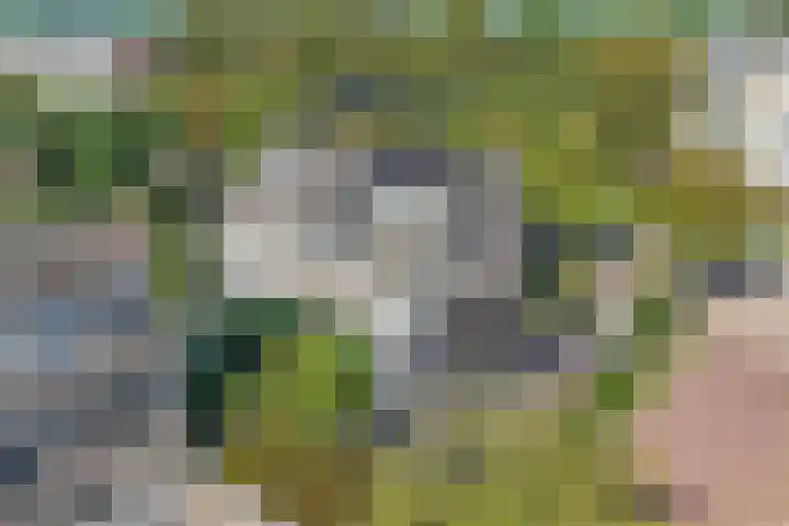 Batavierlaan 10 Nieuwerkerk aan den IJssel thumbnail 63