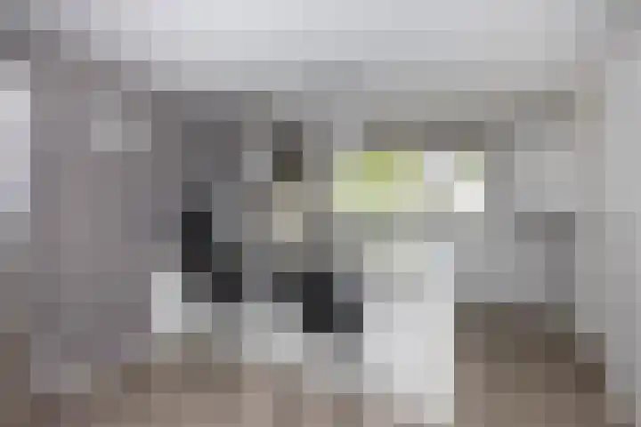 Batavierlaan 10 Nieuwerkerk aan den IJssel thumbnail 7