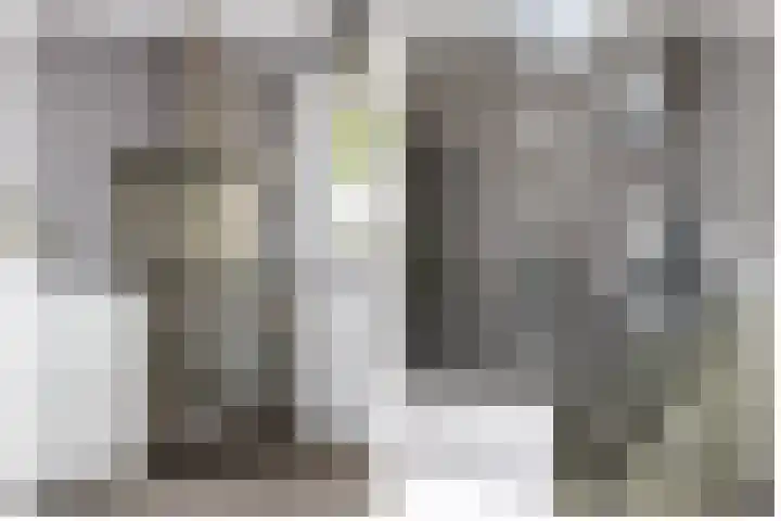 Batavierlaan 10 Nieuwerkerk aan den IJssel thumbnail 8