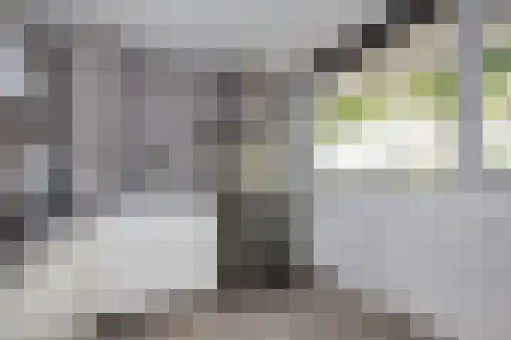 Batavierlaan 10 Nieuwerkerk aan den IJssel thumbnail 9