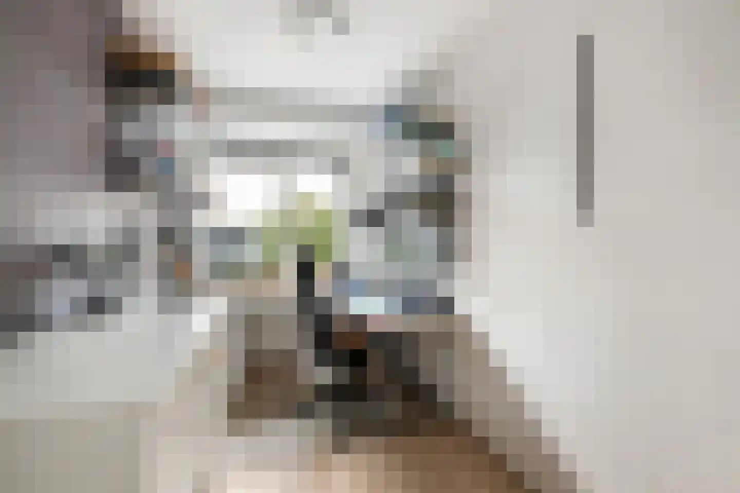Batavierlaan 13 Nieuwerkerk aan den IJssel thumbnail 17