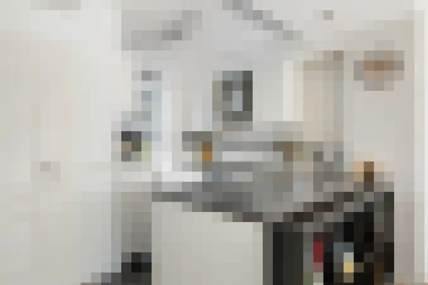 Batavierlaan 13 Nieuwerkerk aan den IJssel thumbnail 8