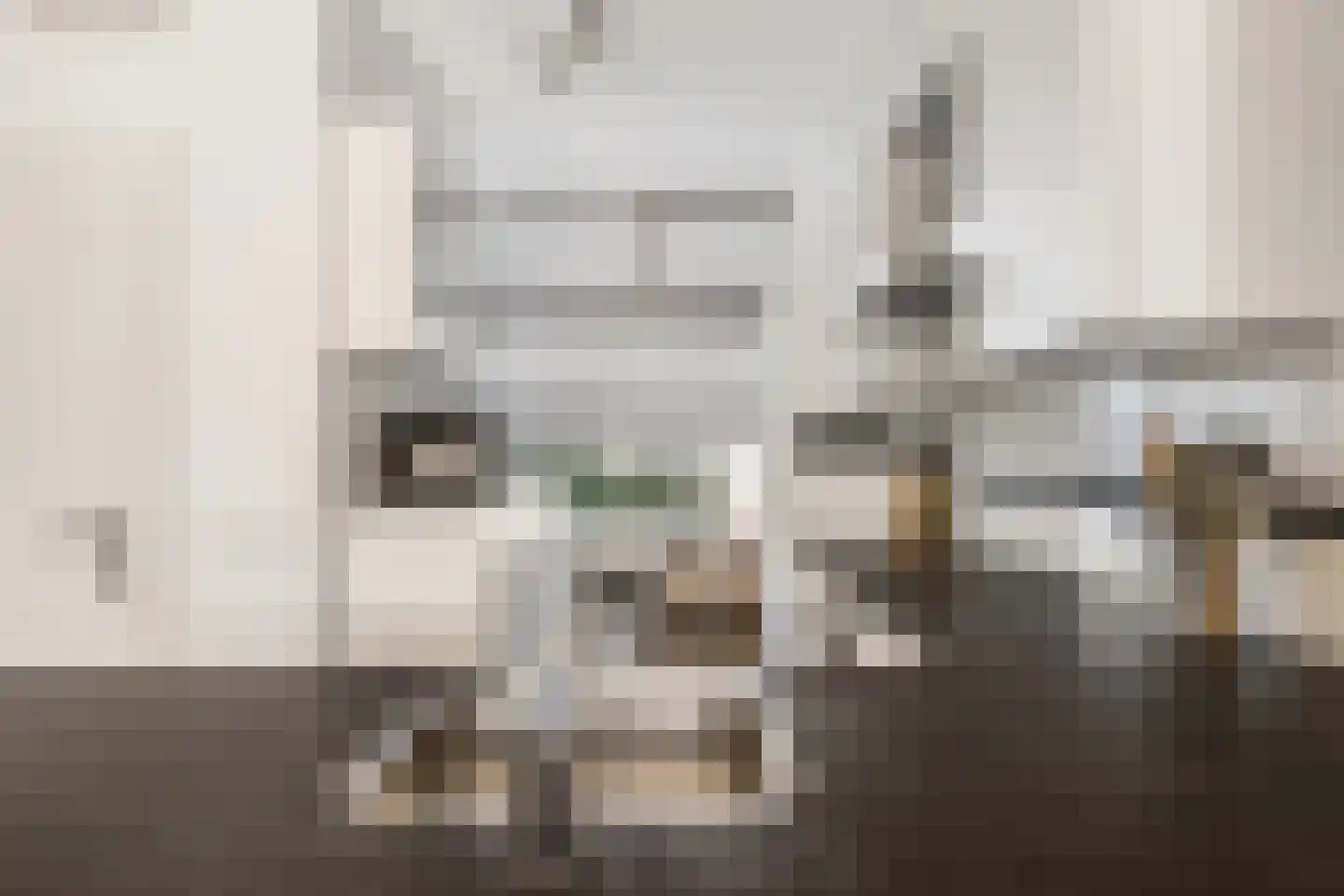 Batavierlaan 13 Nieuwerkerk aan den IJssel thumbnail 9
