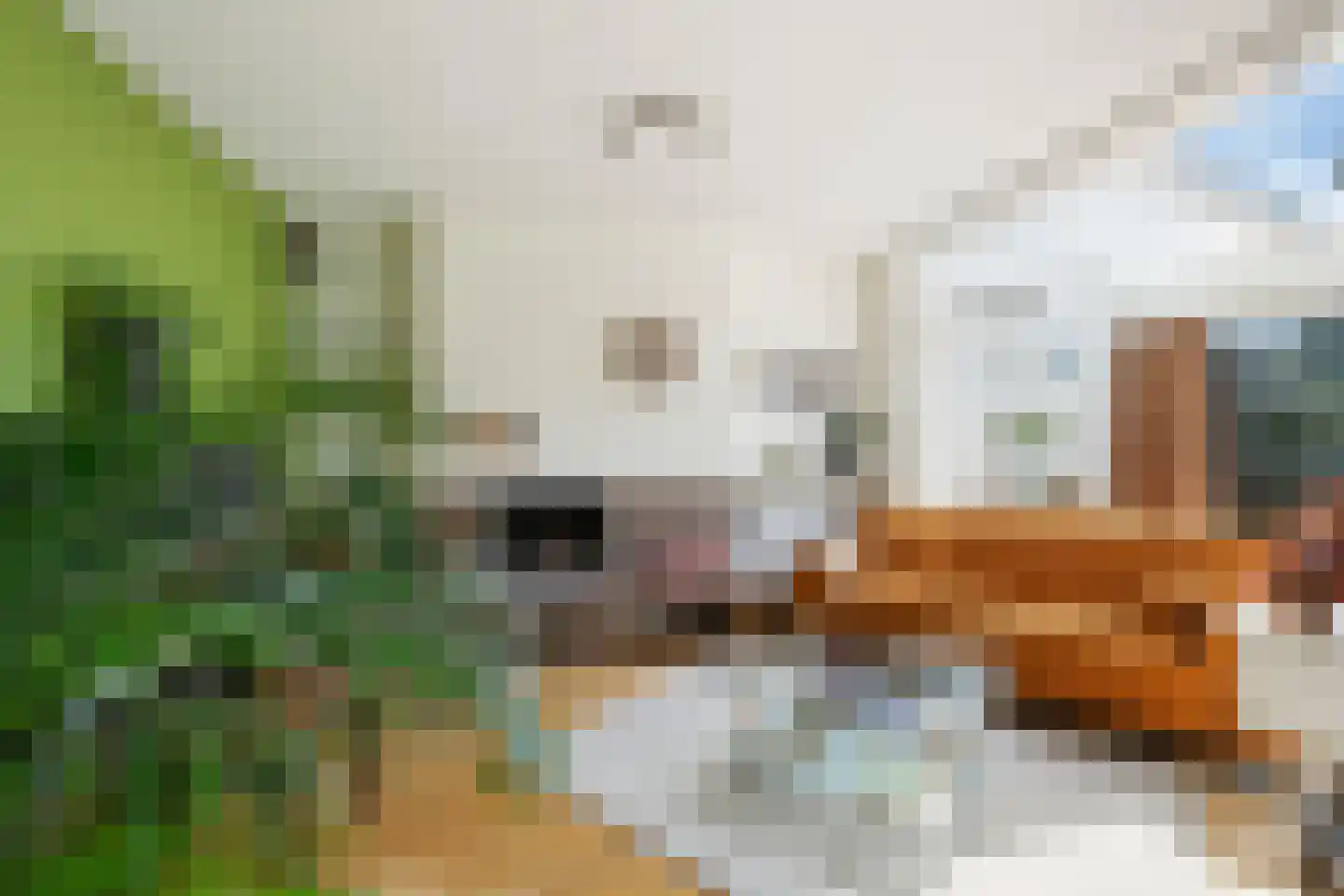 Batavierlaan 14 Nieuwerkerk aan den IJssel thumbnail 12