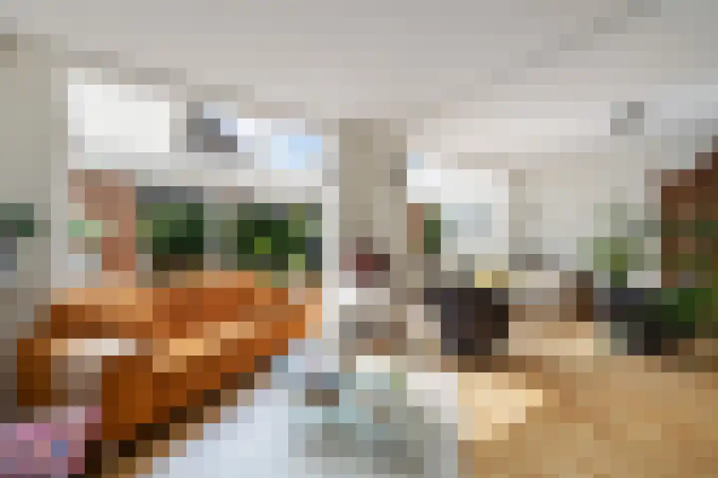 Batavierlaan 14 Nieuwerkerk aan den IJssel thumbnail 13