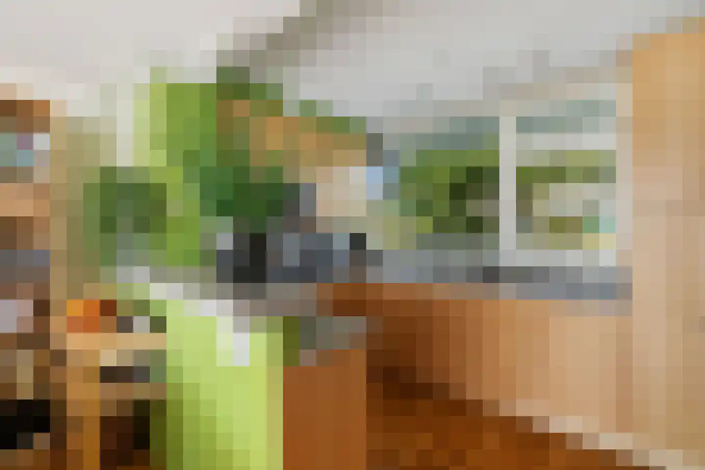 Batavierlaan 14 Nieuwerkerk aan den IJssel thumbnail 17