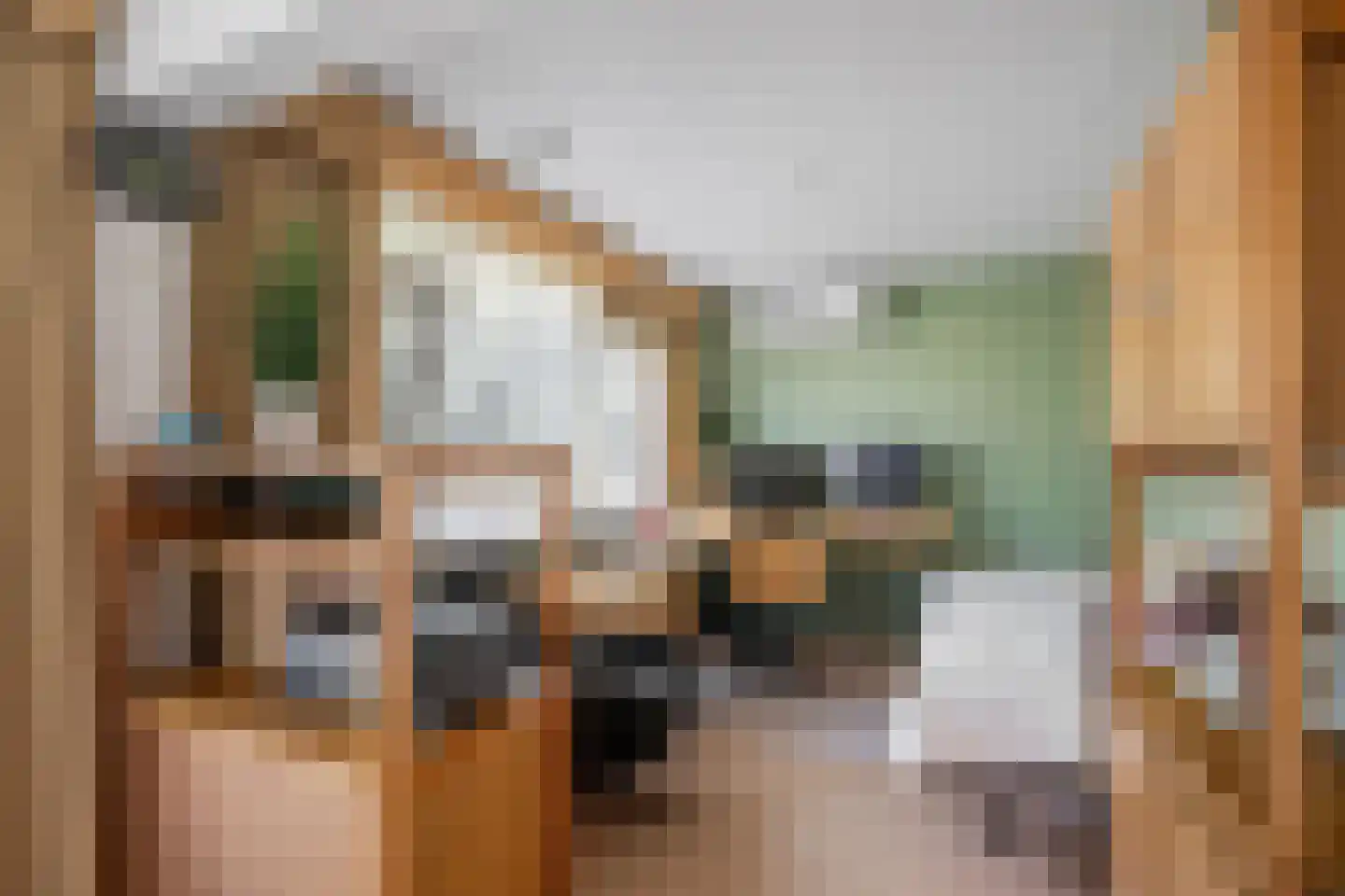Batavierlaan 14 Nieuwerkerk aan den IJssel thumbnail 20