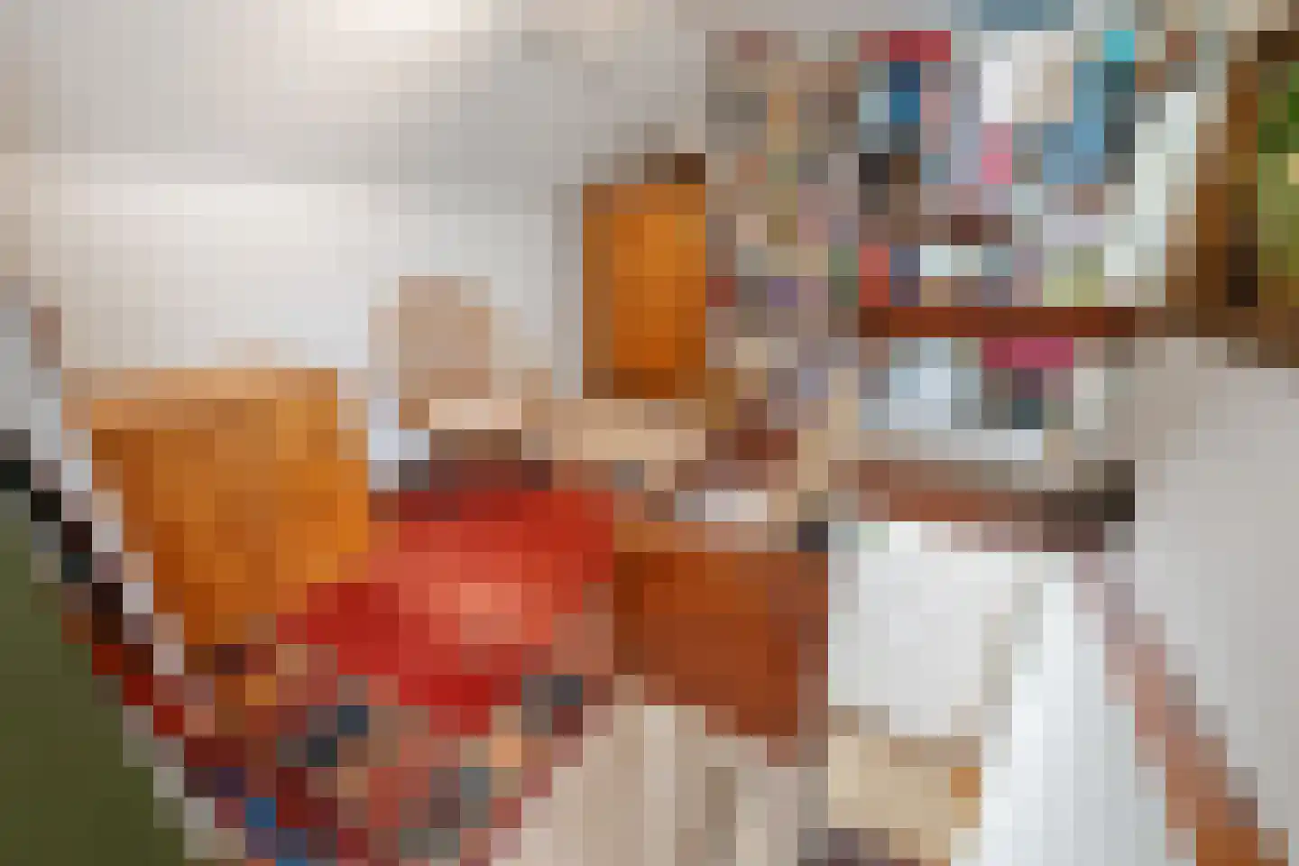 Batavierlaan 14 Nieuwerkerk aan den IJssel thumbnail 35