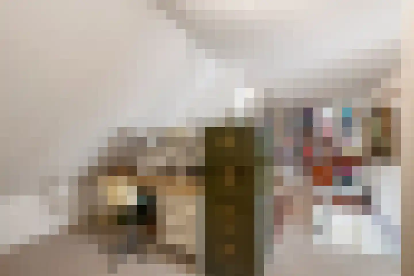 Batavierlaan 14 Nieuwerkerk aan den IJssel thumbnail 36