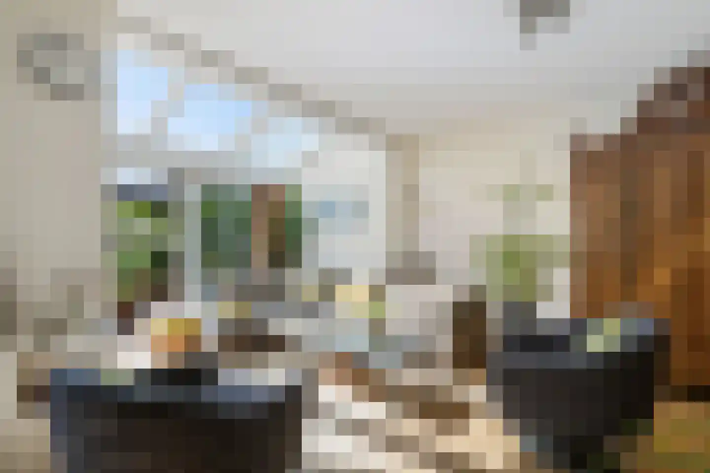 Batavierlaan 14 Nieuwerkerk aan den IJssel thumbnail 6