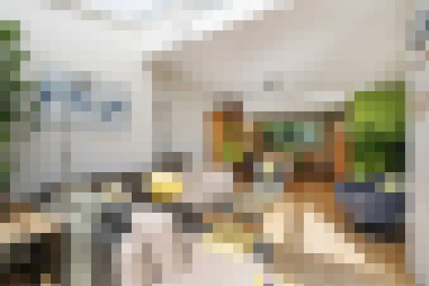 Batavierlaan 14 Nieuwerkerk aan den IJssel thumbnail 8