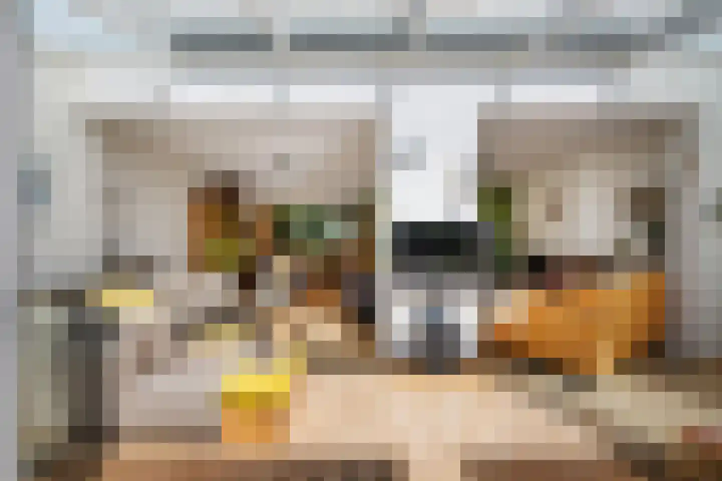 Batavierlaan 14 Nieuwerkerk aan den IJssel thumbnail 9