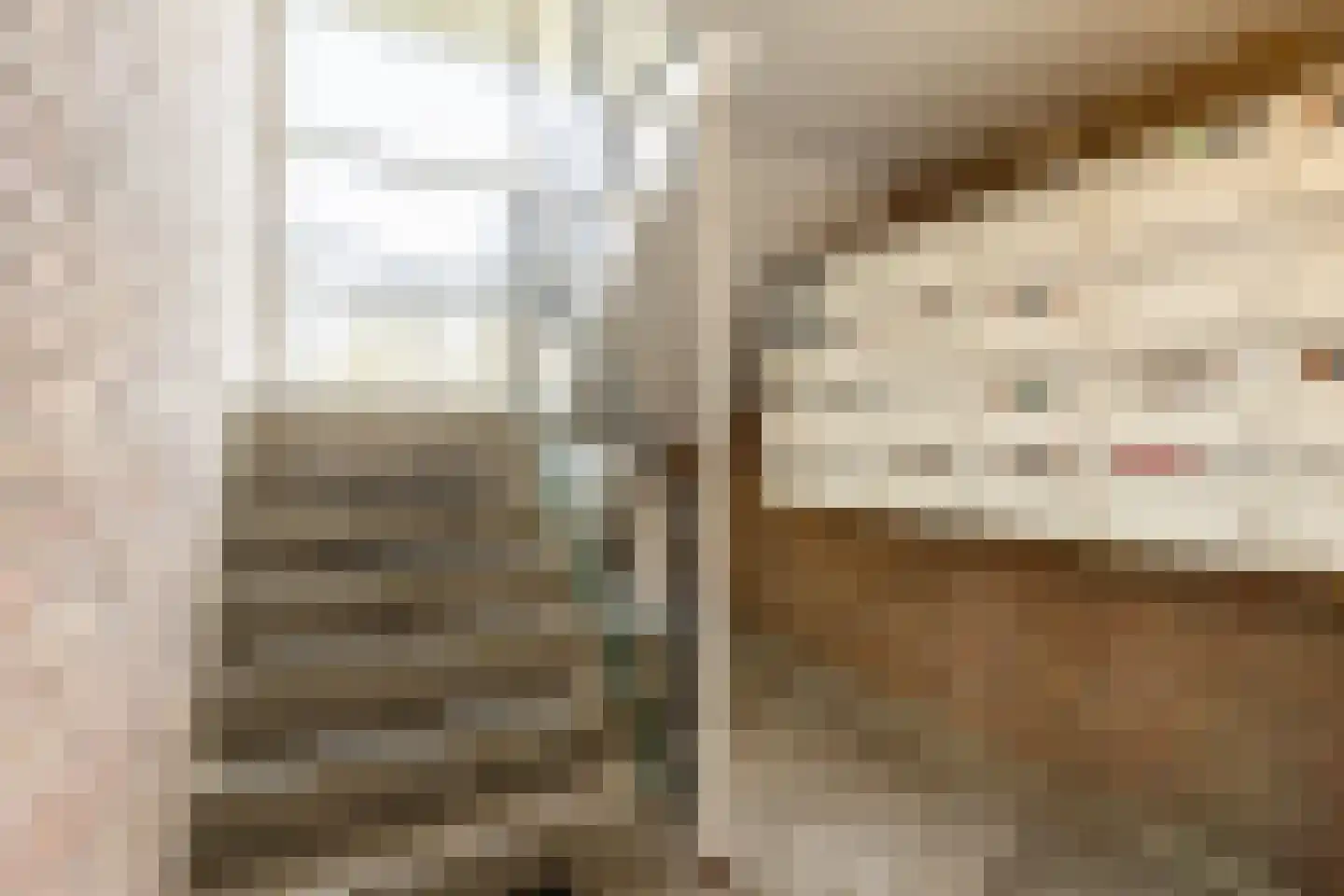 Batavierlaan 15 Nieuwerkerk aan den IJssel thumbnail 10