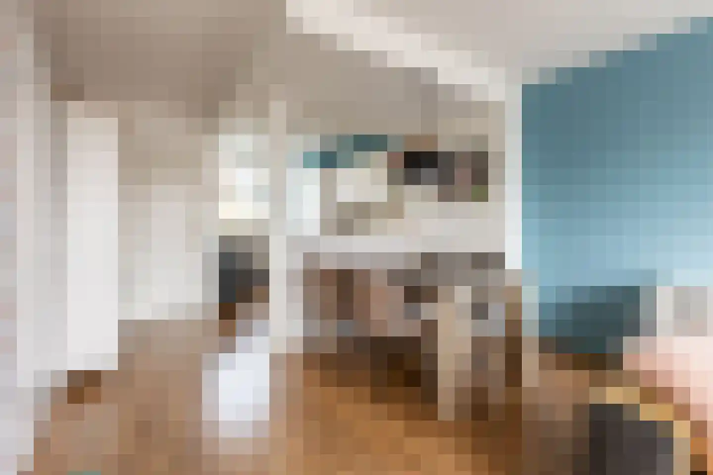 Batavierlaan 15 Nieuwerkerk aan den IJssel thumbnail 18