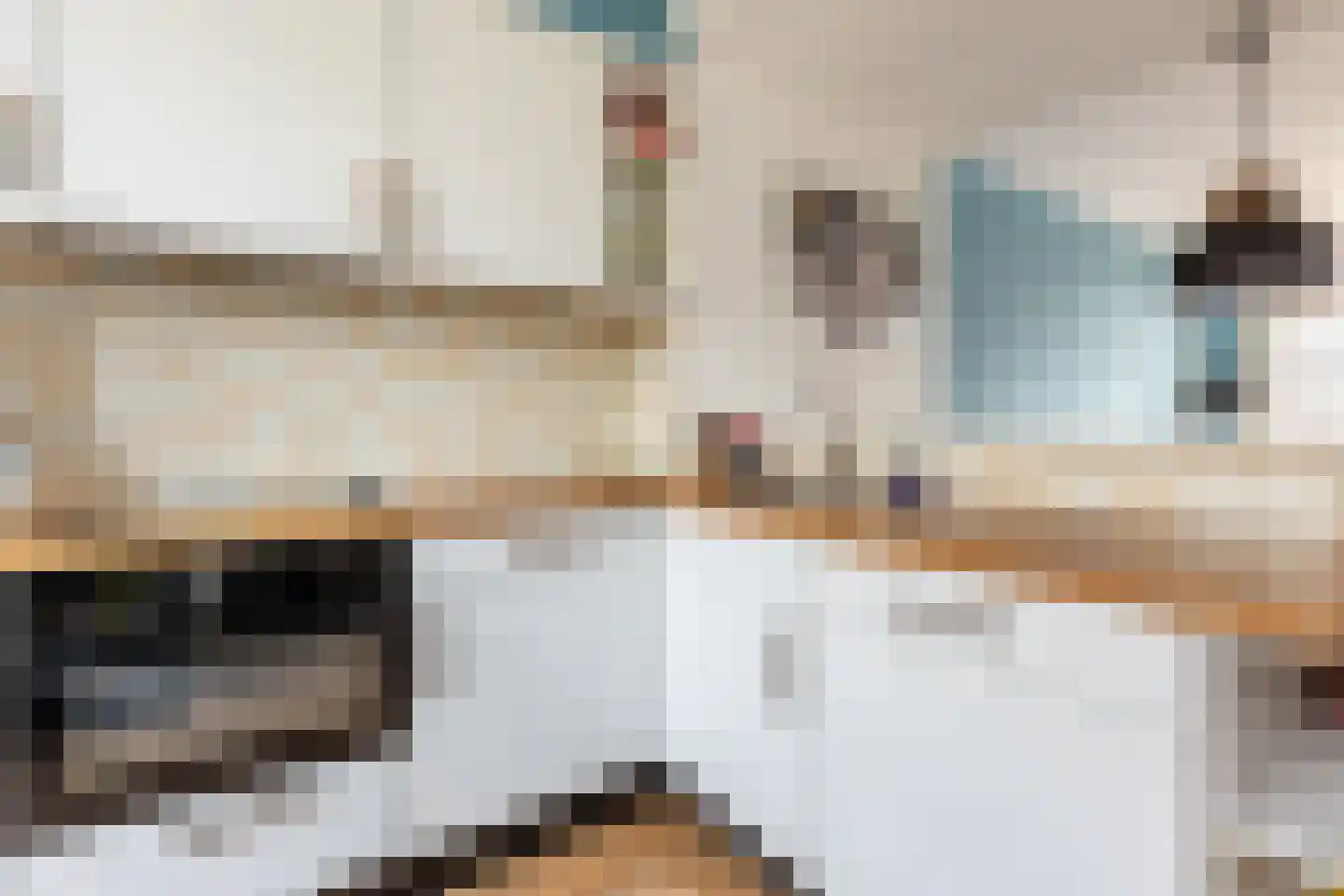 Batavierlaan 15 Nieuwerkerk aan den IJssel thumbnail 21