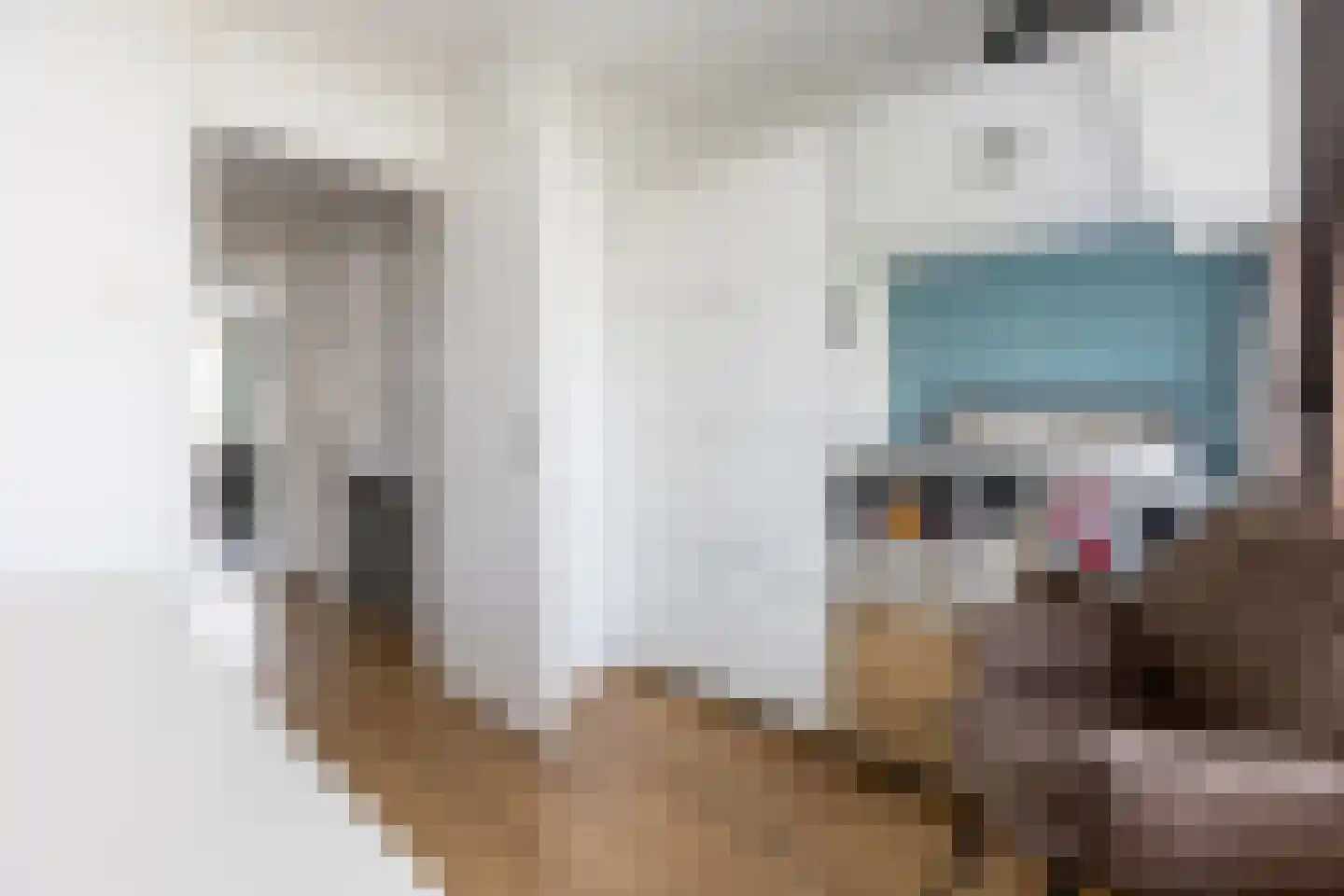 Batavierlaan 15 Nieuwerkerk aan den IJssel thumbnail 32