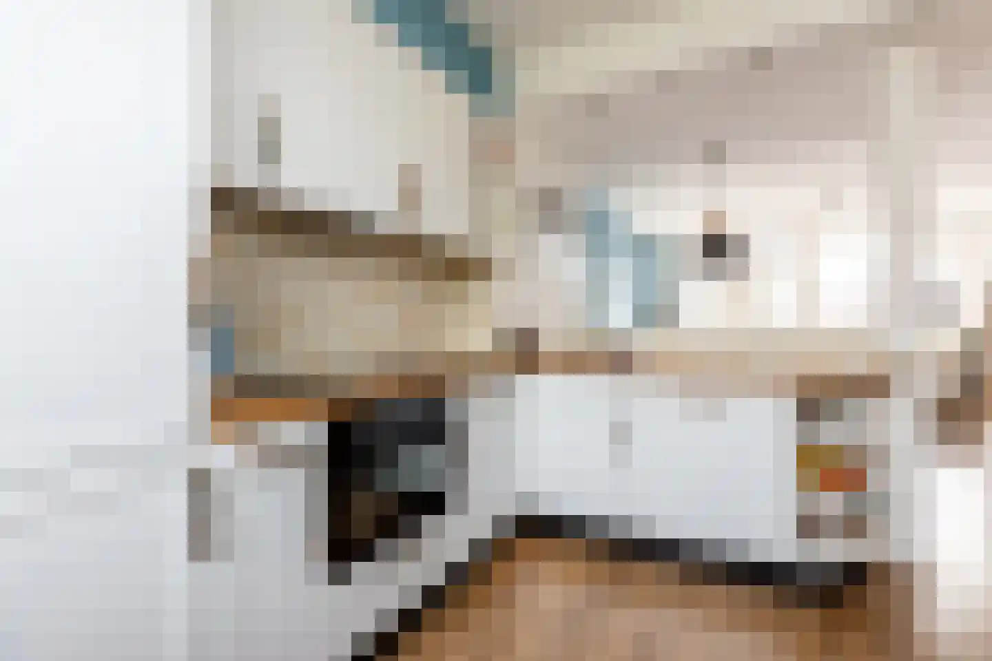 Batavierlaan 15 Nieuwerkerk aan den IJssel thumbnail 4