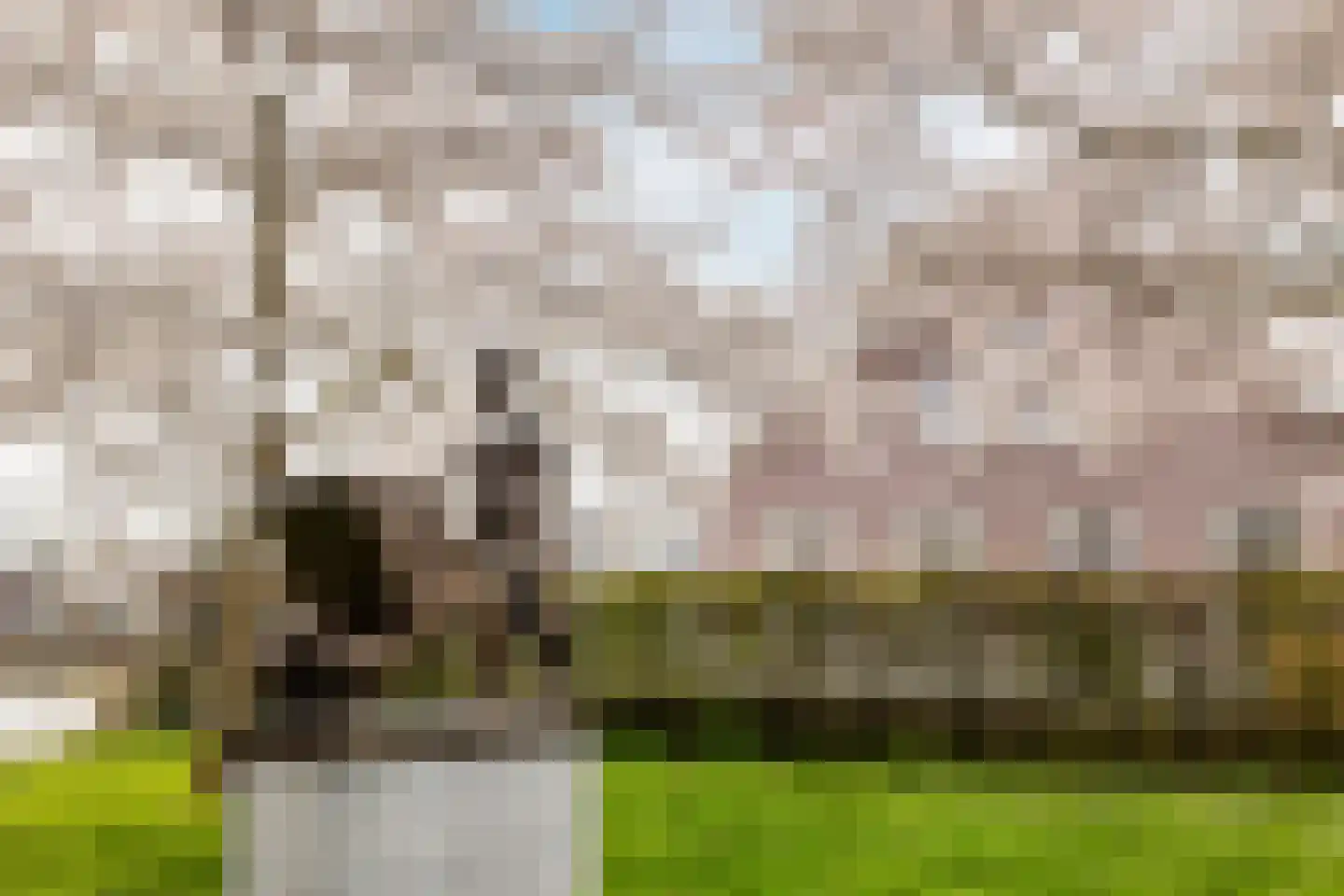 Batavierlaan 15 Nieuwerkerk aan den IJssel thumbnail 42