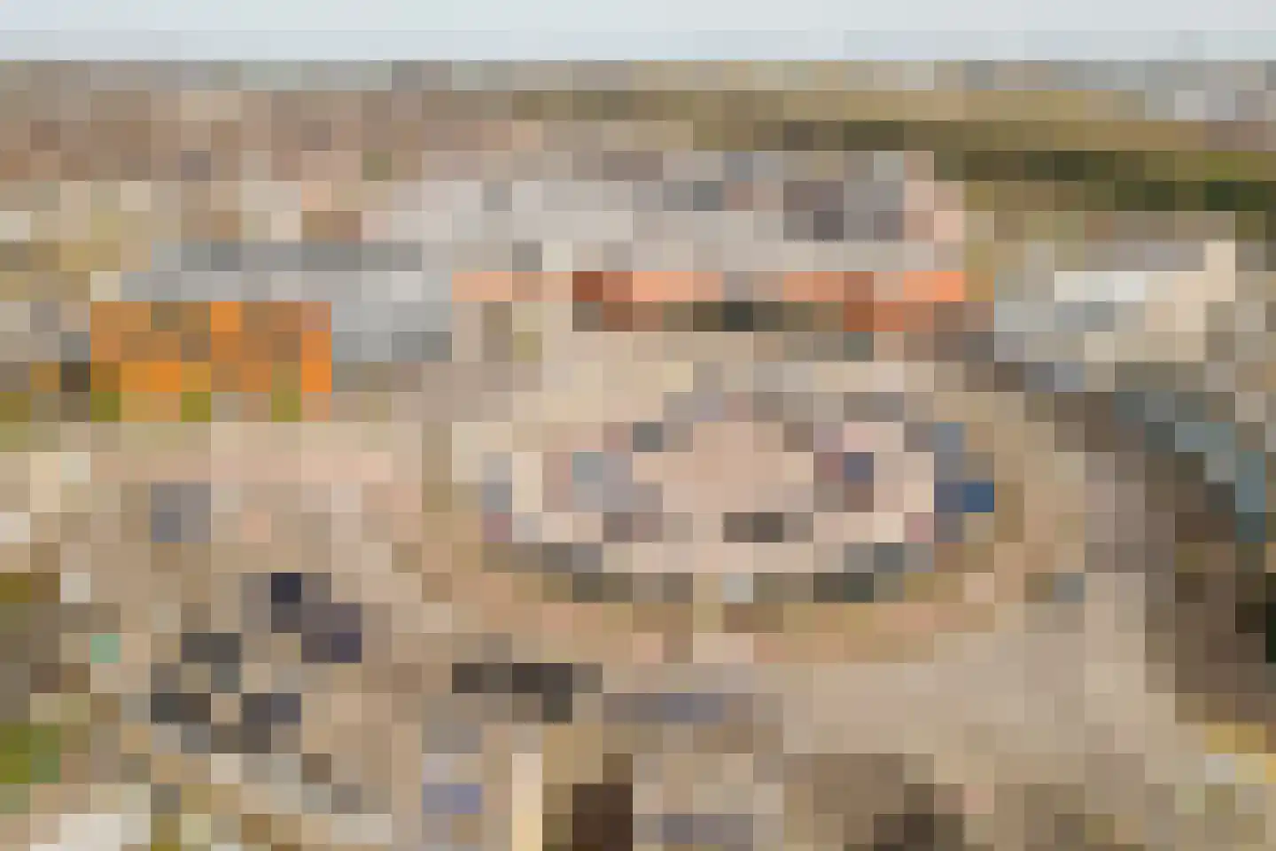 Batavierlaan 15 Nieuwerkerk aan den IJssel thumbnail 48
