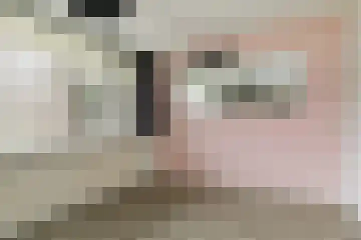 Batavierlaan 3 Nieuwerkerk aan den IJssel thumbnail 11