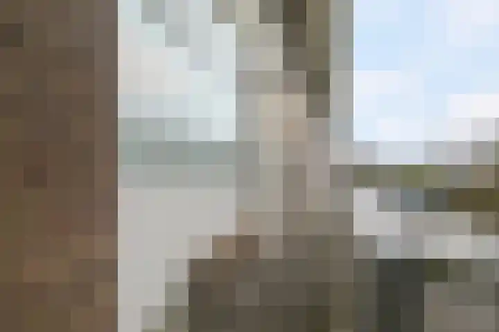 Batavierlaan 3 Nieuwerkerk aan den IJssel thumbnail 20