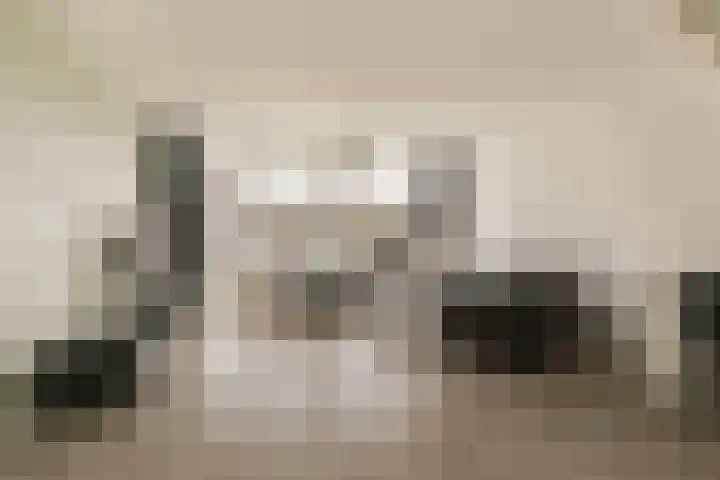 Batavierlaan 3 Nieuwerkerk aan den IJssel thumbnail 4