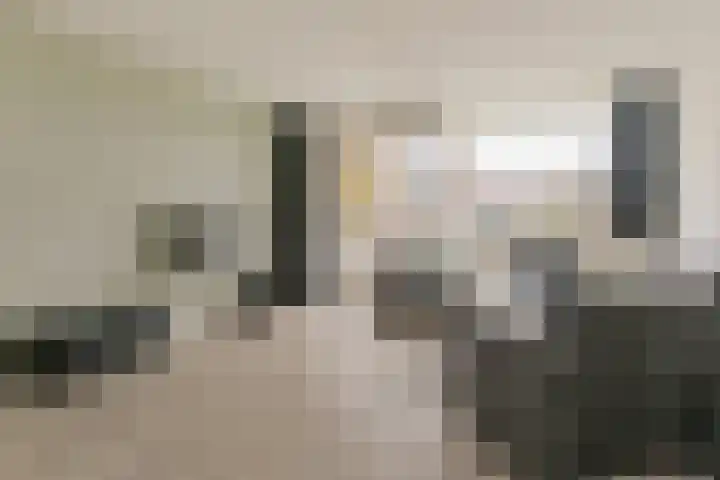 Batavierlaan 3 Nieuwerkerk aan den IJssel thumbnail 5