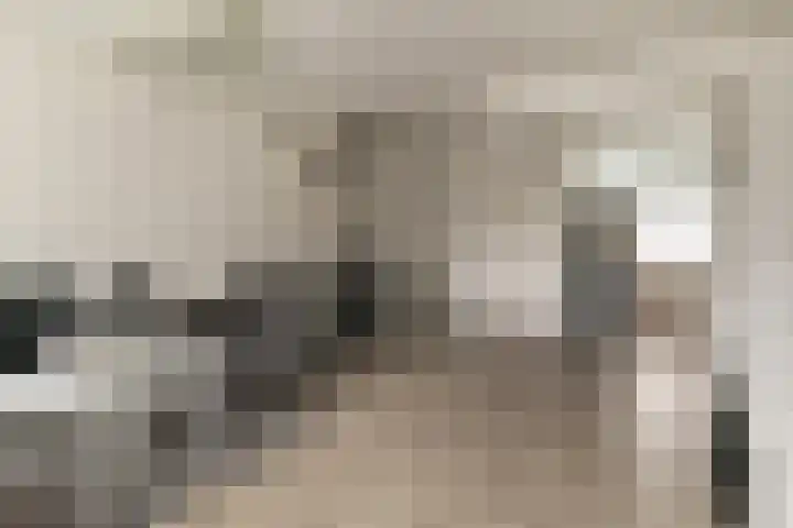 Batavierlaan 3 Nieuwerkerk aan den IJssel thumbnail 6
