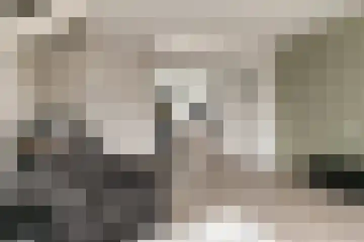 Batavierlaan 3 Nieuwerkerk aan den IJssel thumbnail 7