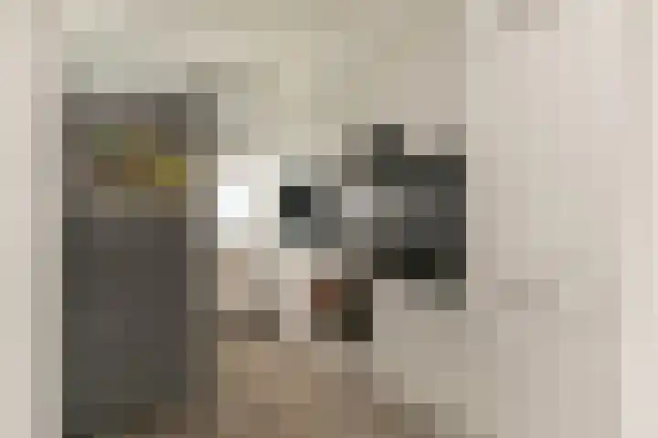 Batavierlaan 3 Nieuwerkerk aan den IJssel thumbnail 9