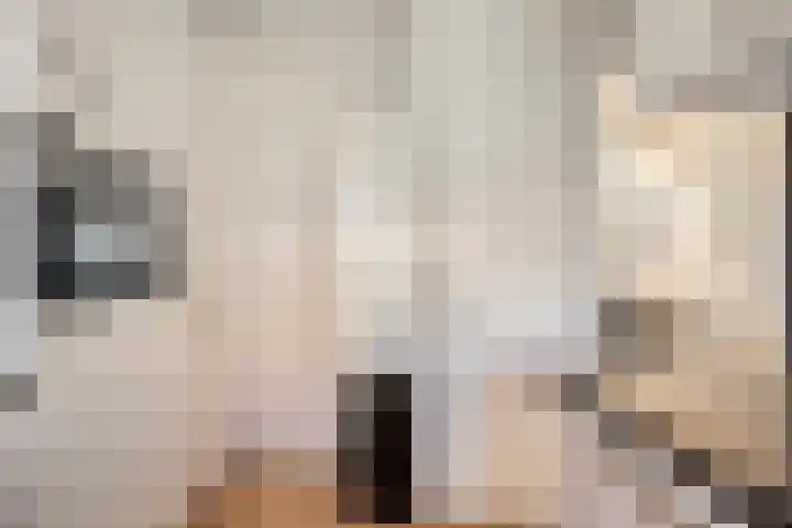 Batavierlaan 5 Nieuwerkerk aan den IJssel thumbnail 13