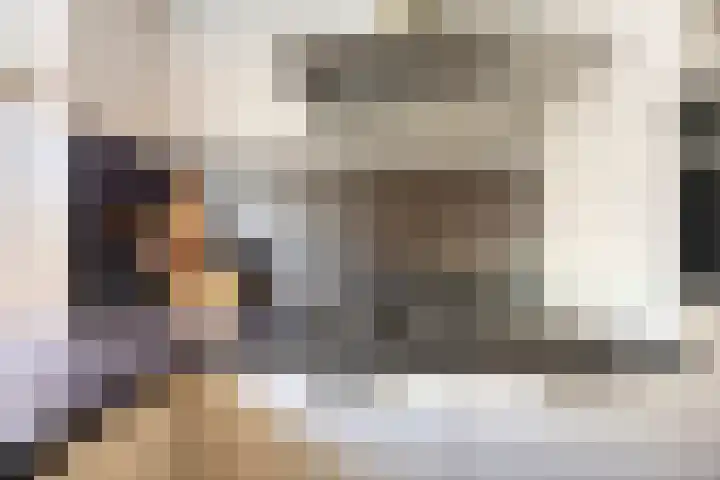 Batavierlaan 5 Nieuwerkerk aan den IJssel thumbnail 14