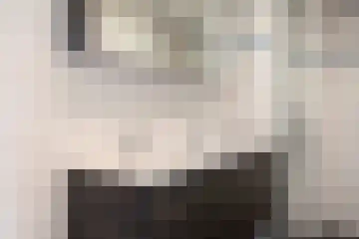 Batavierlaan 5 Nieuwerkerk aan den IJssel thumbnail 22