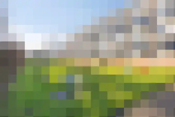 Batavierlaan 5 Nieuwerkerk aan den IJssel thumbnail 26