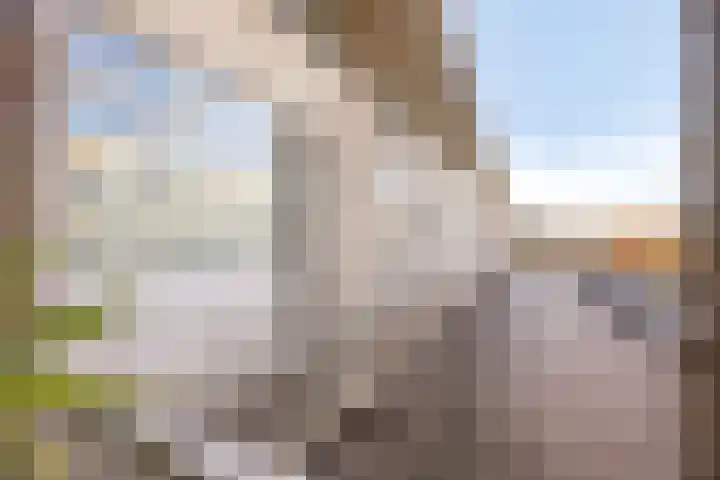 Batavierlaan 5 Nieuwerkerk aan den IJssel thumbnail 31