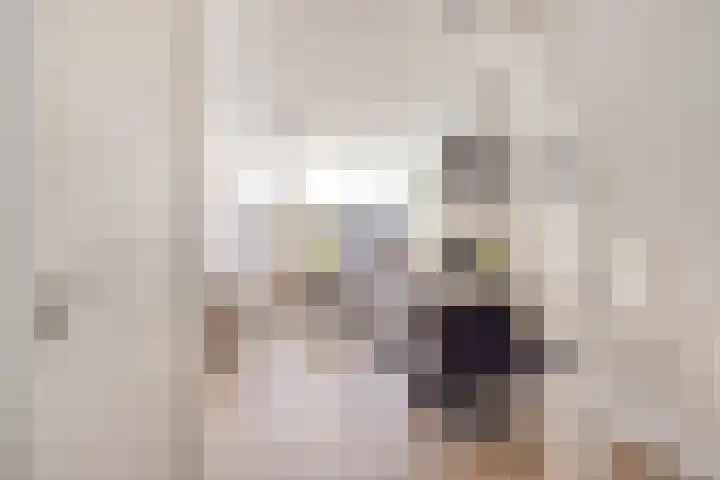 Batavierlaan 5 Nieuwerkerk aan den IJssel thumbnail 4
