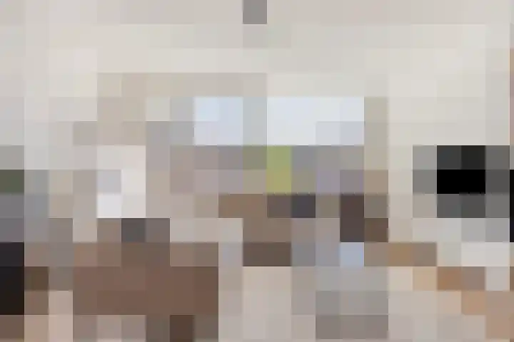 Batavierlaan 5 Nieuwerkerk aan den IJssel thumbnail 5
