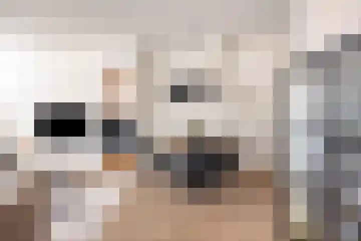 Batavierlaan 5 Nieuwerkerk aan den IJssel thumbnail 7