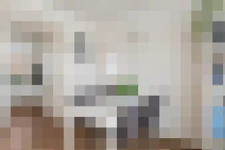 Batavierlaan 59 Nieuwerkerk aan den IJssel thumbnail 8