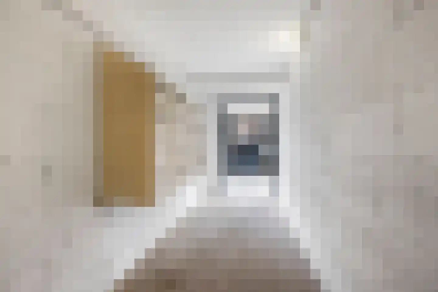 Batavierlaan 65 Nieuwerkerk aan den IJssel thumbnail 7