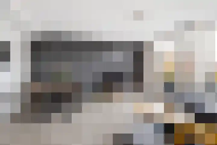 Batavierlaan 67 Nieuwerkerk aan den IJssel thumbnail 12