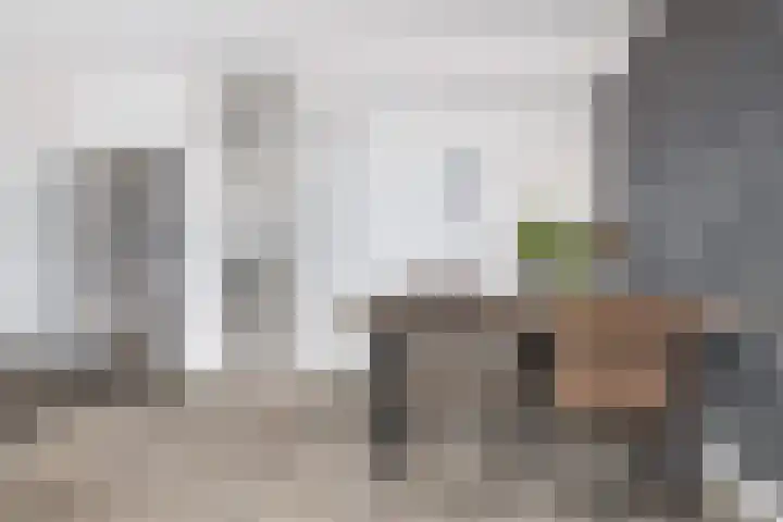 Batavierlaan 67 Nieuwerkerk aan den IJssel thumbnail 15
