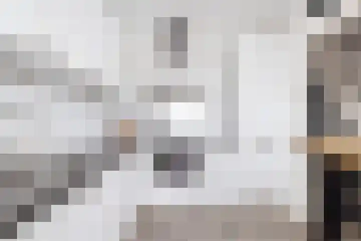 Batavierlaan 67 Nieuwerkerk aan den IJssel thumbnail 17