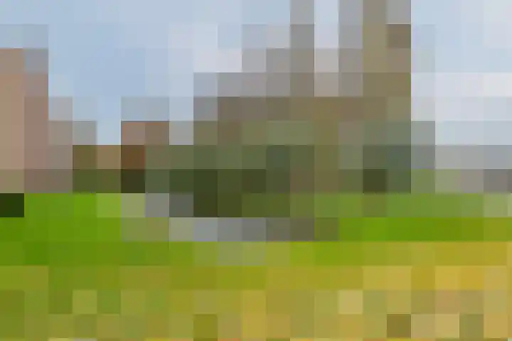 Batavierlaan 67 Nieuwerkerk aan den IJssel thumbnail 30