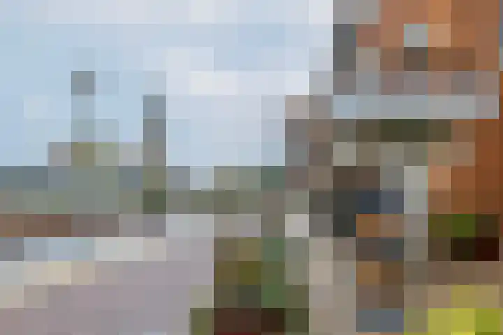 Batavierlaan 67 Nieuwerkerk aan den IJssel thumbnail 32