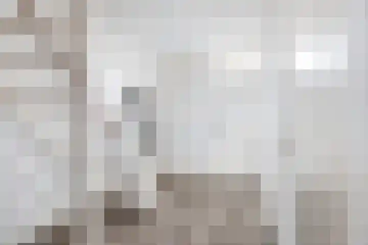 Batavierlaan 67 Nieuwerkerk aan den IJssel thumbnail 8