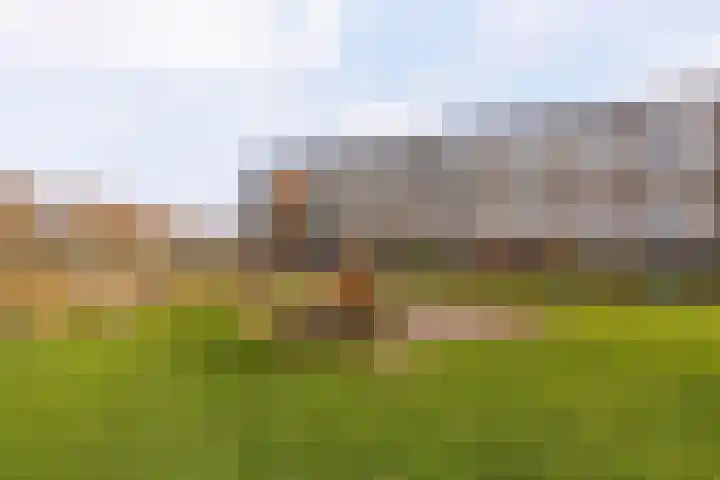 Batavierlaan 7 Nieuwerkerk aan den IJssel thumbnail 25